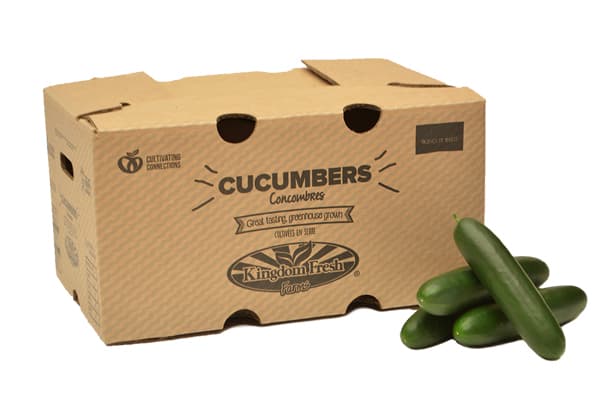 Cucumber