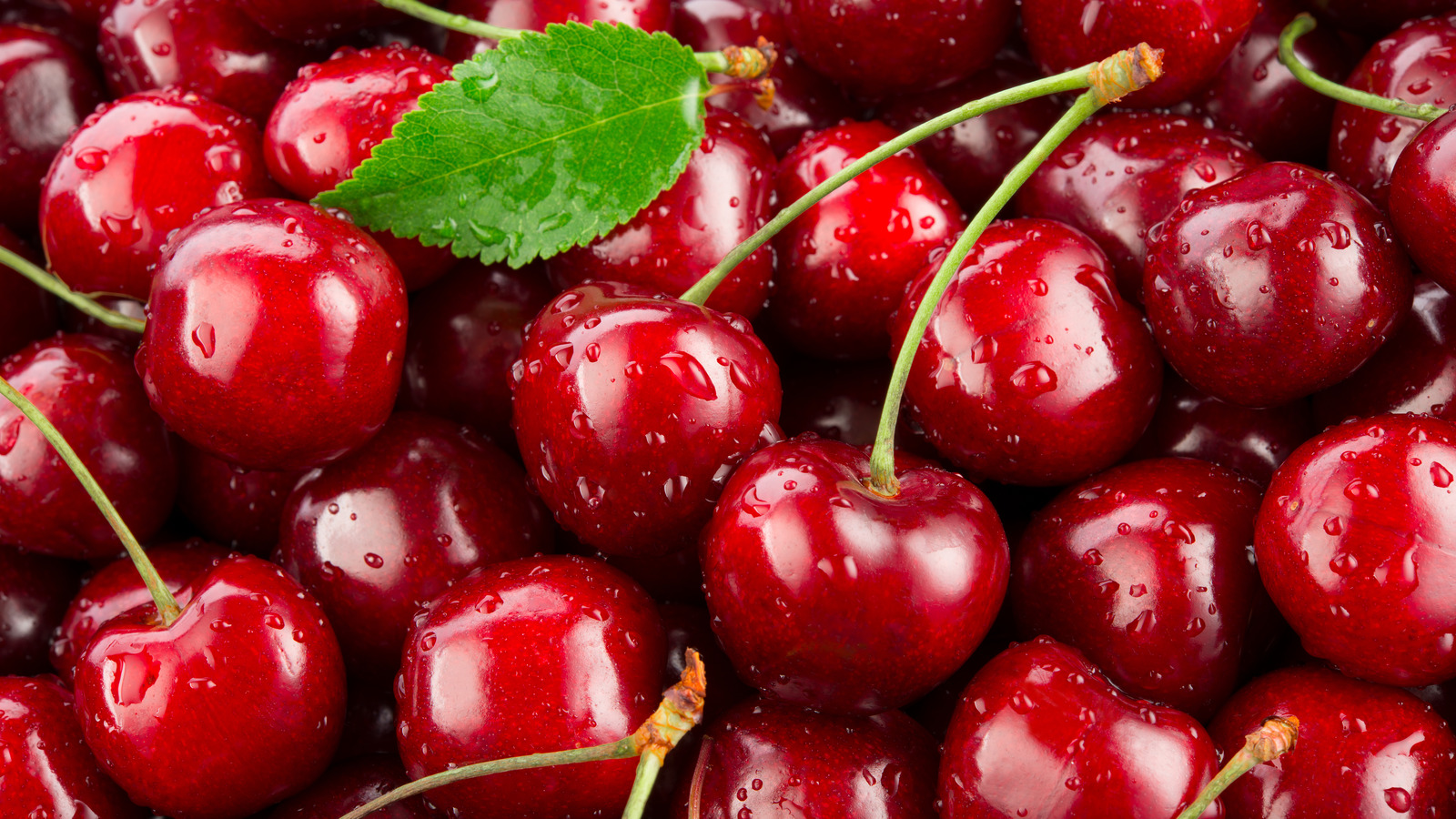 Cherries