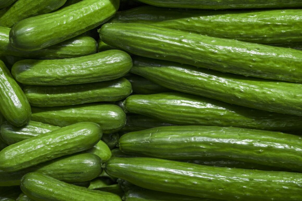 English Cucumber