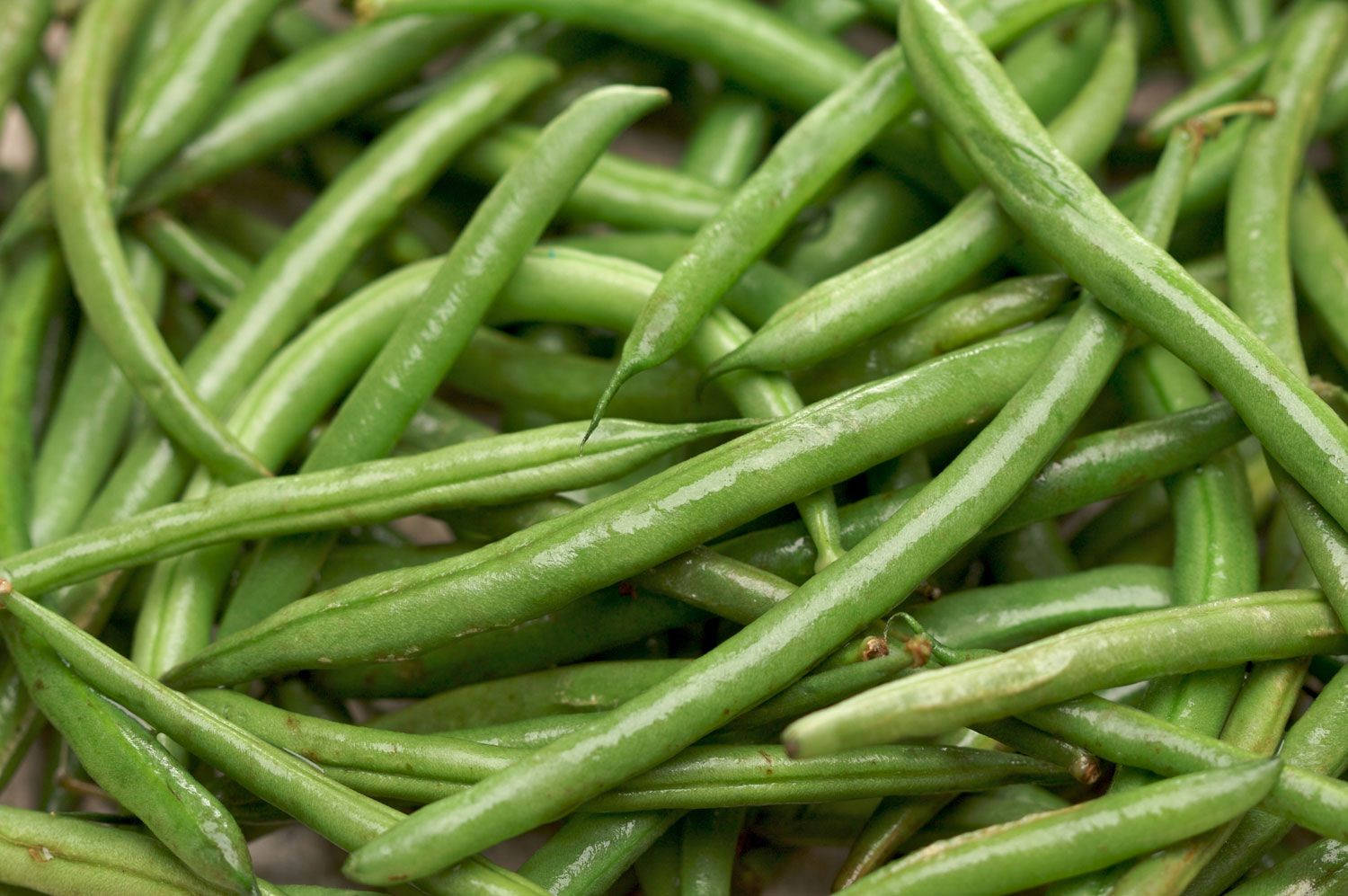 Green Beans