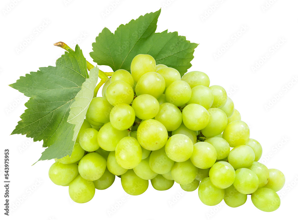 Green Grape