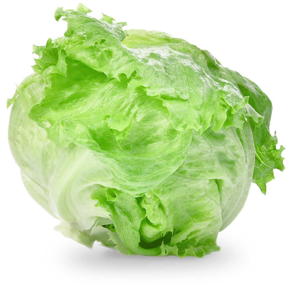 Iceberg Lettuce