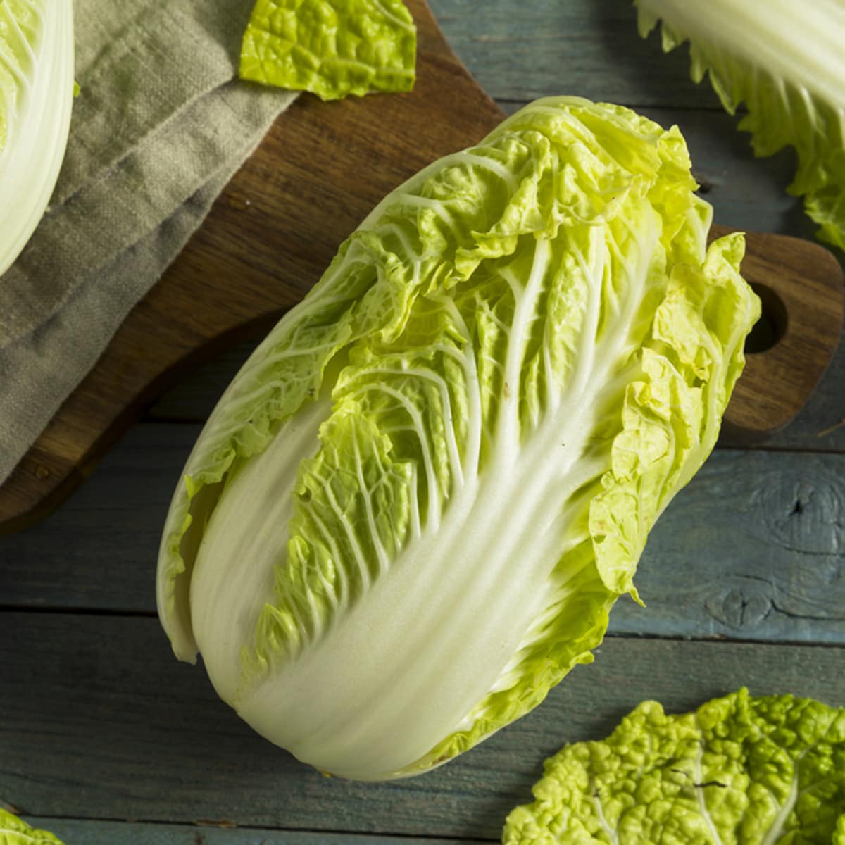 Napa Cabbage