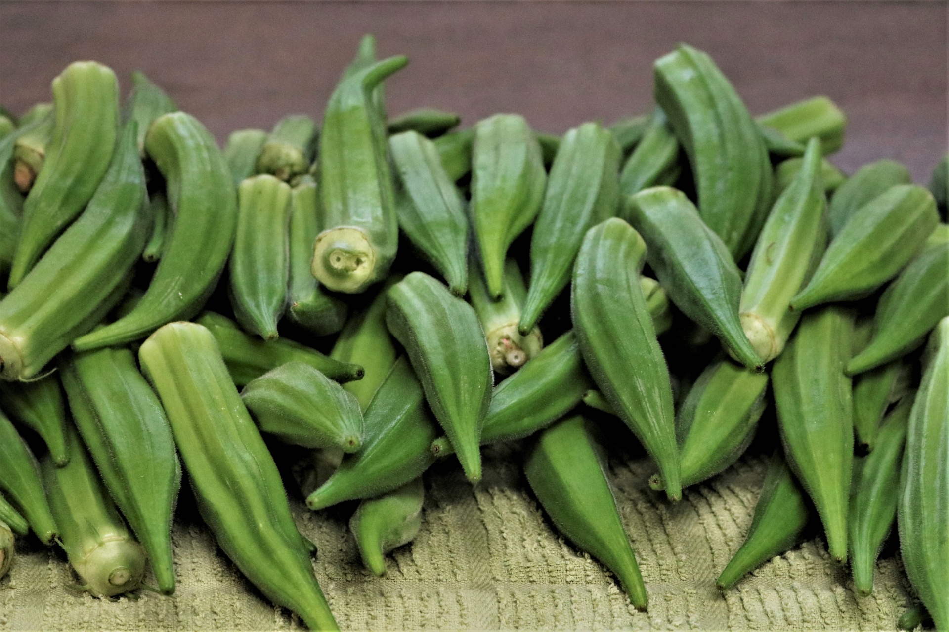 Okra