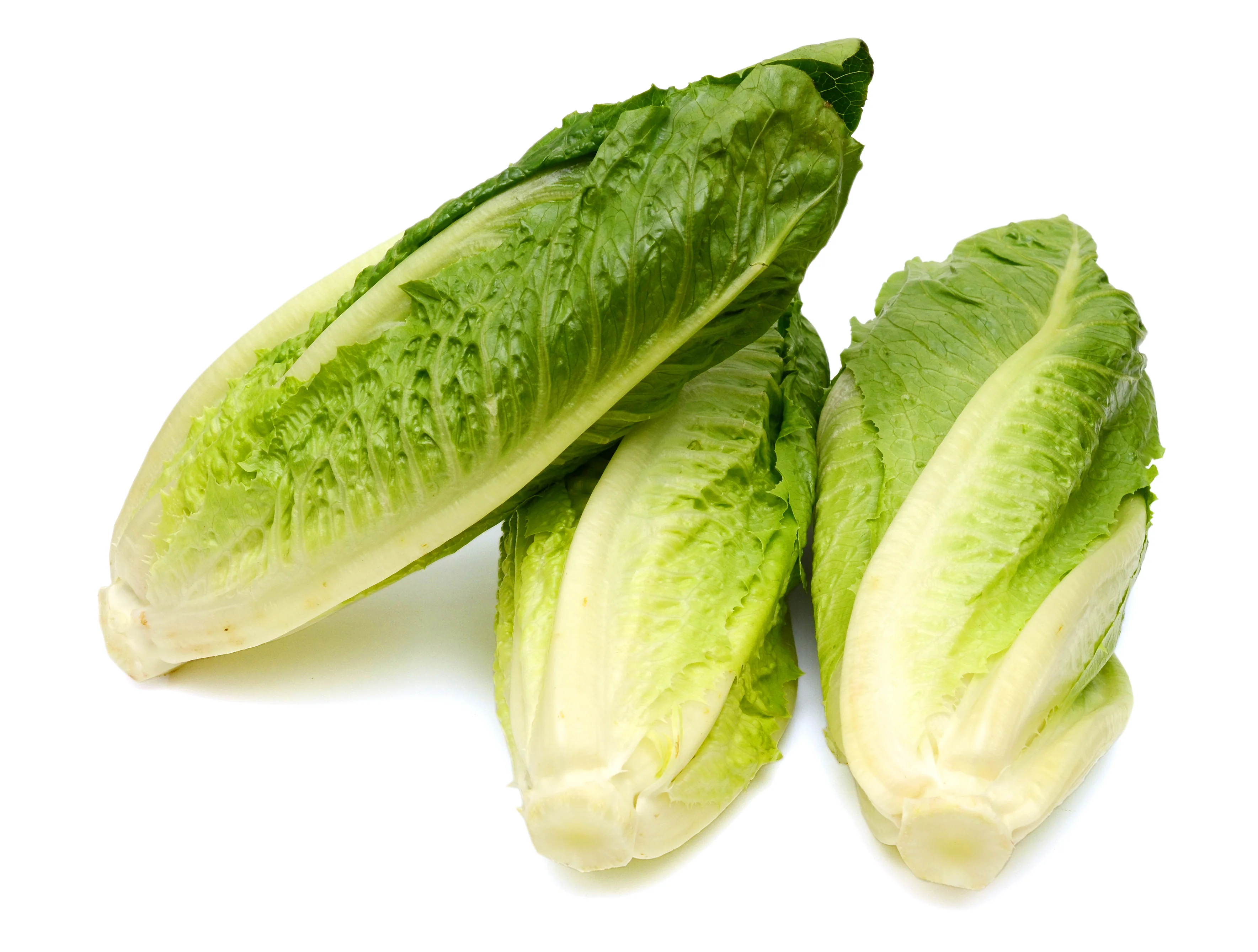Romaine Heart